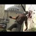 5YILDIZ ^ ^ CS-GO Counter-Strike: Global Offensive